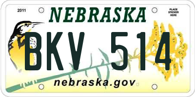 NE license plate BKV514