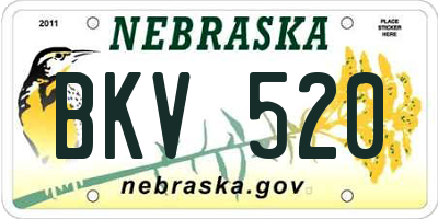 NE license plate BKV520