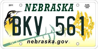NE license plate BKV561