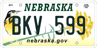 NE license plate BKV599