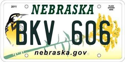 NE license plate BKV606