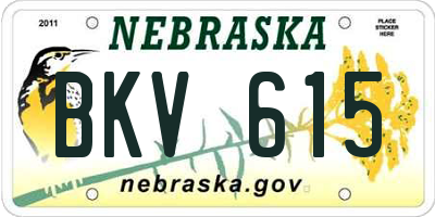 NE license plate BKV615