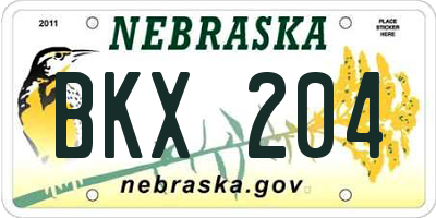 NE license plate BKX204