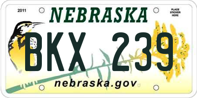 NE license plate BKX239