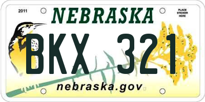 NE license plate BKX321