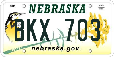 NE license plate BKX703