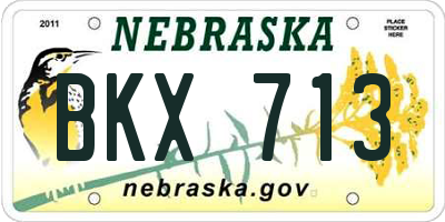NE license plate BKX713