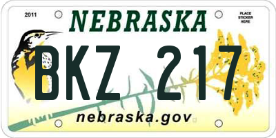 NE license plate BKZ217