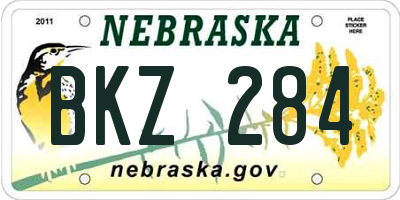 NE license plate BKZ284