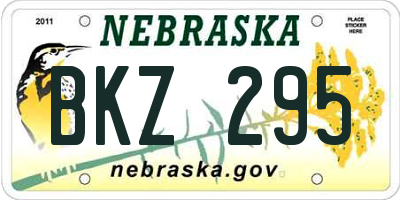 NE license plate BKZ295