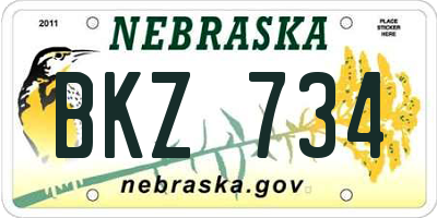 NE license plate BKZ734