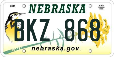 NE license plate BKZ868
