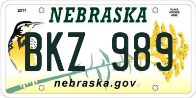 NE license plate BKZ989