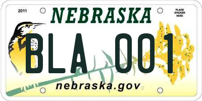 NE license plate BLA001