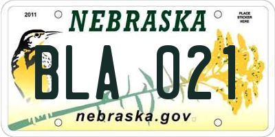 NE license plate BLA021