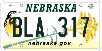 NE license plate BLA317
