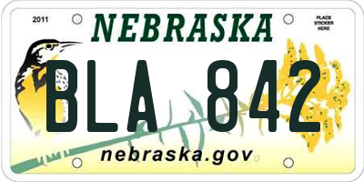 NE license plate BLA842