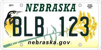 NE license plate BLB123