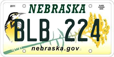 NE license plate BLB224