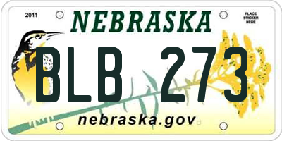 NE license plate BLB273