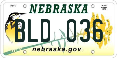 NE license plate BLD036