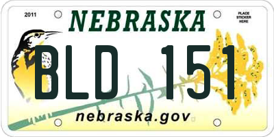 NE license plate BLD151