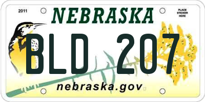 NE license plate BLD207