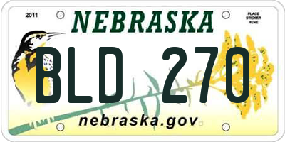 NE license plate BLD270