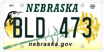 NE license plate BLD473