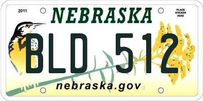 NE license plate BLD512