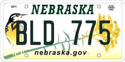 NE license plate BLD775