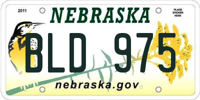 NE license plate BLD975