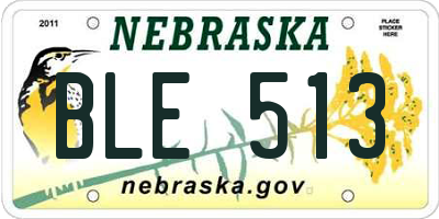NE license plate BLE513