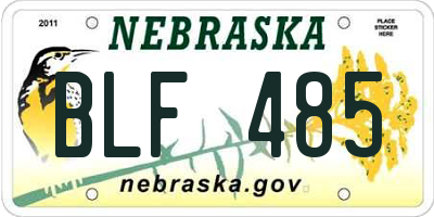 NE license plate BLF485
