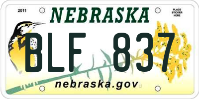 NE license plate BLF837