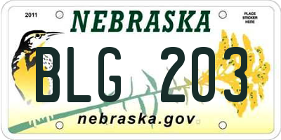 NE license plate BLG203
