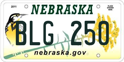 NE license plate BLG250