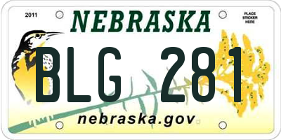 NE license plate BLG281