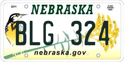 NE license plate BLG324