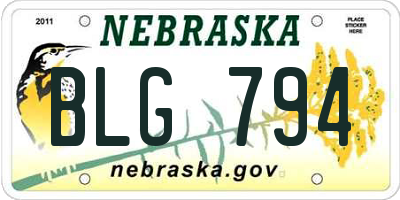 NE license plate BLG794