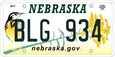 NE license plate BLG934