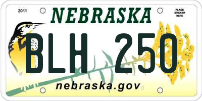 NE license plate BLH250
