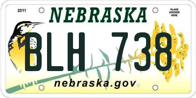 NE license plate BLH738