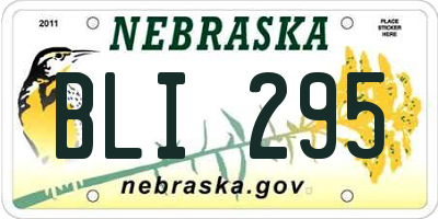 NE license plate BLI295