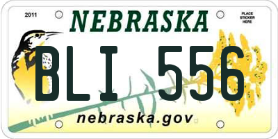NE license plate BLI556