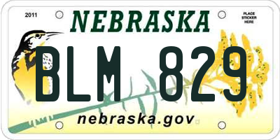 NE license plate BLM829