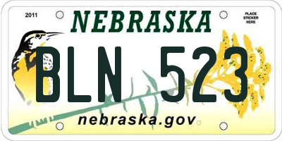 NE license plate BLN523