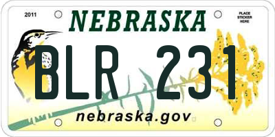 NE license plate BLR231