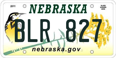 NE license plate BLR827