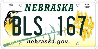 NE license plate BLS167